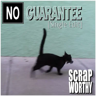 No Guarantee [Single Edit]