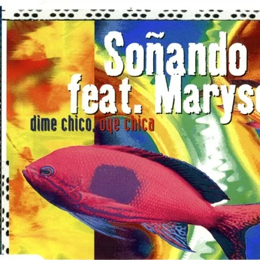 Dime Chico, Oye Chica by Soñando - album cover