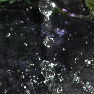 Splat!