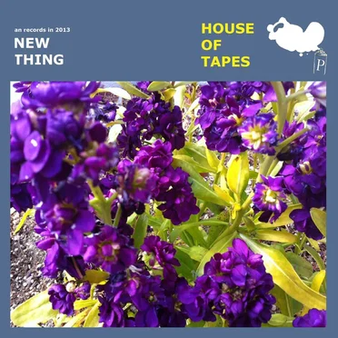 New Thing by House of Tapes - album cover