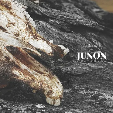 Carcosa by Junon - album cover