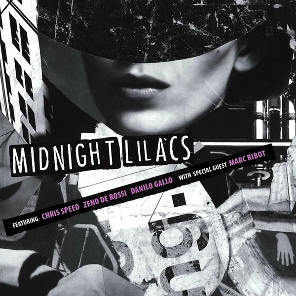 Midnight Lilacs