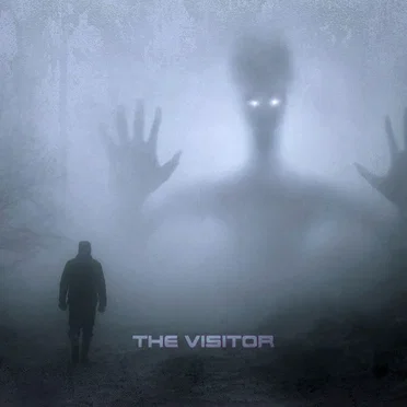 The Visitor