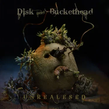 Unrealesed by Disk - album cover