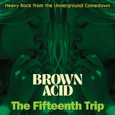 Brown Acid: The Fifteenth Trip by Various Artists - album cover
