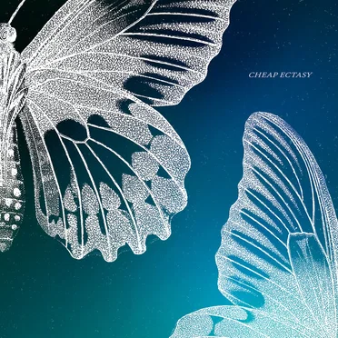 Cheap Ecstasy by Tarn PK - album cover