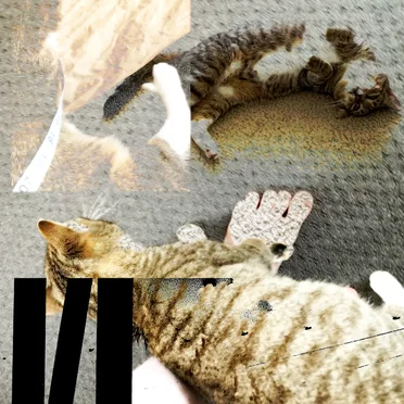 Freeroam 71 :: those freaking animals by cn doublelife - album cover