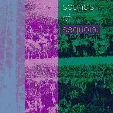 sounds of sequoia.