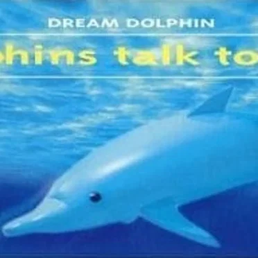 Dolphins talk to you