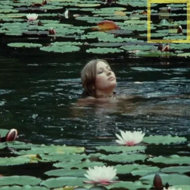 Friends Within the Darkness