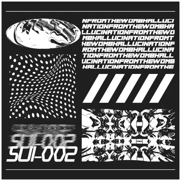 Hallucination from the womb by Various Artists - album cover