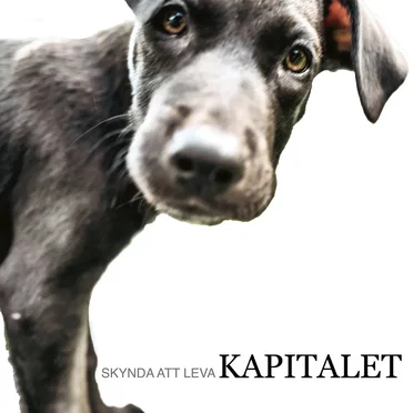 Skynda Att Leva