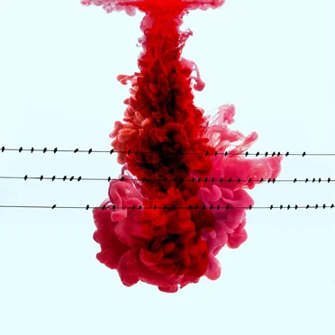 The Dominant Power of Influence