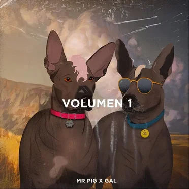 Mr. Pig x Gal, Vol. 1