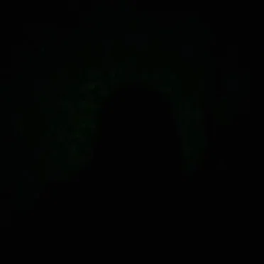 Not This