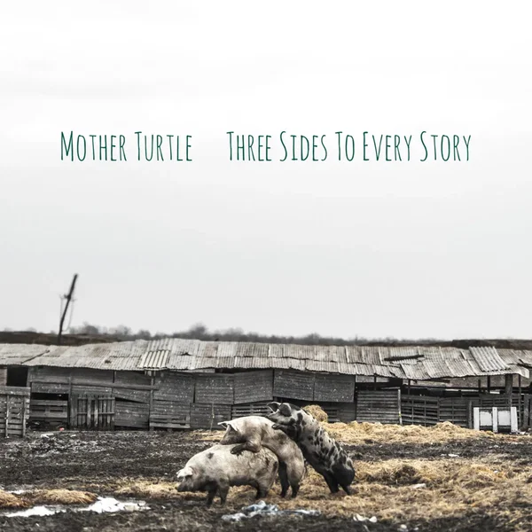 Three Sides to Every Story