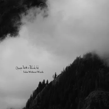 Tales Without Words by Cityscape Drawn in Black Ink - album cover