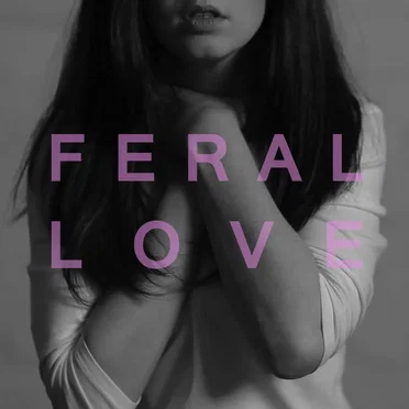 Like the Wind by Feral Love - album cover