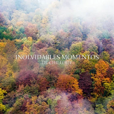 Inolvidables Momentos de Chillout by Various Artists - album cover