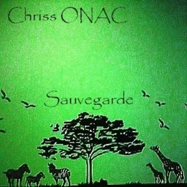 Sauvegarde by Chriss ONAC - album cover