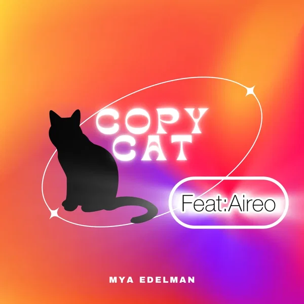 Copycat (remix)