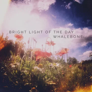Bright Light of the Day