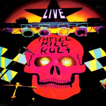 My Life With the Thrill Kill Kult