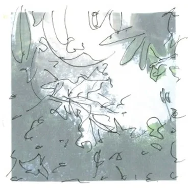 Blessed Feathers by Blessed Feathers - album cover