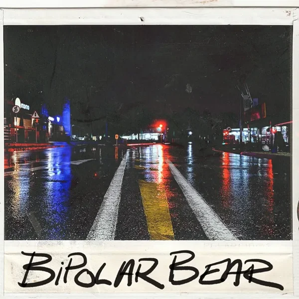 Bipolar Bear