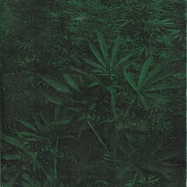 Demo No. 1 by Emeralds - album cover