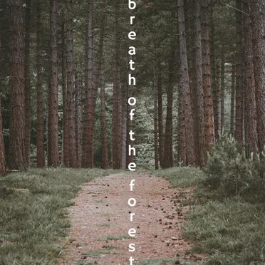 Breath of the Forest