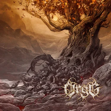 Indomita by Orgg - album cover