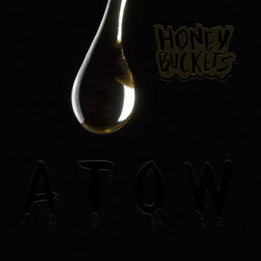 ATOW by Honey Buckets - album cover