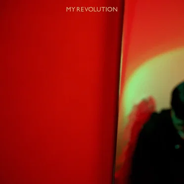 MY REVOLUTION by ゆうらん船 - album cover