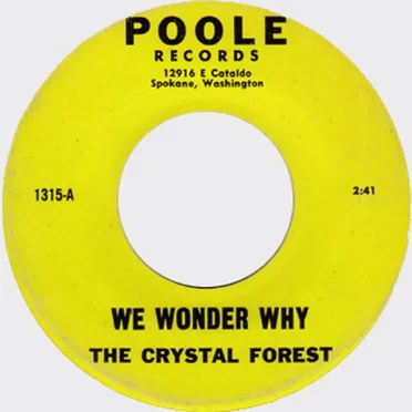 We Wonder Why