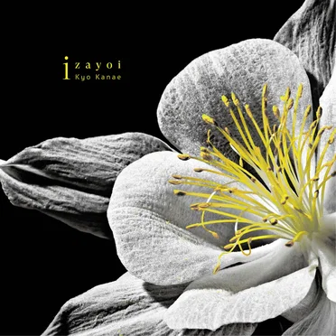 izayoi by Kyo Kanae - album cover