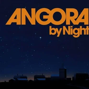 Angora by Night by Drengene fra Angora - album cover