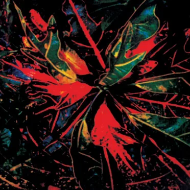 Karmatic Equations by Jay Daniel - album cover