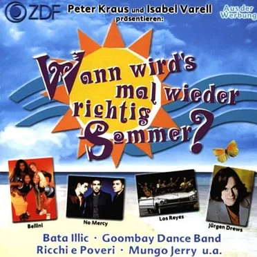 Wann wird's mal wieder richtig Sommer? by Various Artists - album cover