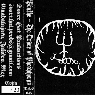 The Order of Phosphorus by Psukhe - album cover