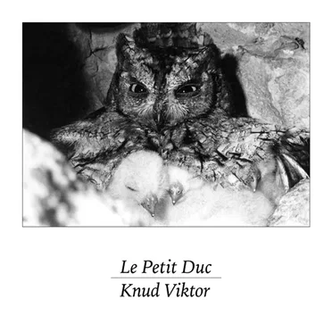 Le Petit Duc by Knud Viktor - album cover