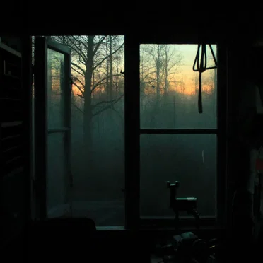 MOSS: revelations, landscapes, dreams