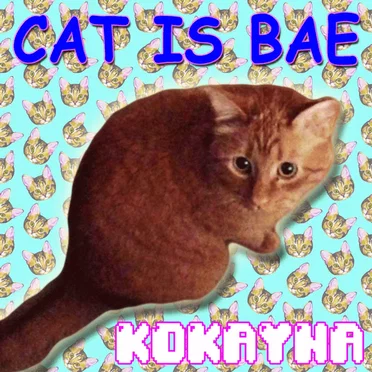 CAT IS BAE