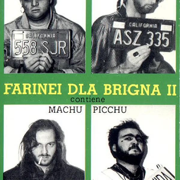 Farinei dla brigna II