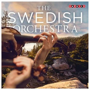 The Swedish Orchestra by Various Artists - album cover