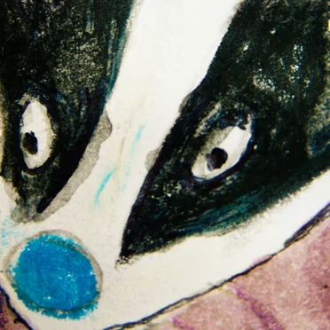 The Badger by The New Tigers - album cover