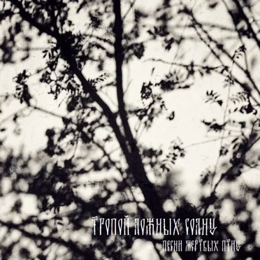 Песни мертвых птиц