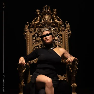 If I Ruled the World