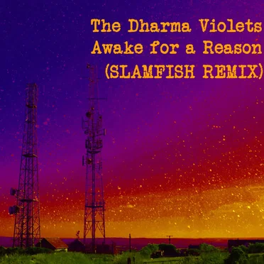 Awake for a Reason (Slamfish Remix)
