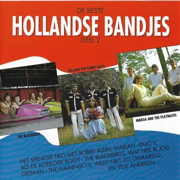 De beste Hollandse bandjes, deel 2 by Various Artists - album cover